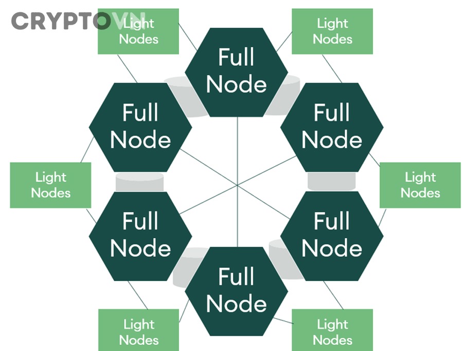 Tìm Hiểu Light Node Là Gì, Cách Hoạt Động Và Khác Gì Full Node Trong Blockchain